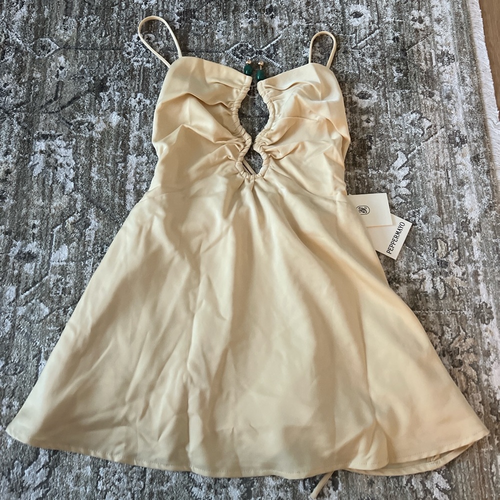Peppermayo Zuma Mini Dress
